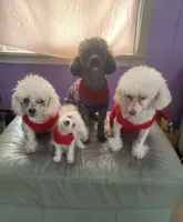 processed/c227fb94-1c98-4094-a13e-15953c46feee/facility/5c987052-6bc0-40e5-a244-db89ae2c091d