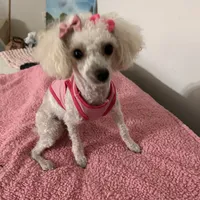 processed/c227fb94-1c98-4094-a13e-15953c46feee/facility/8f76aa45-3274-40ff-becc-1e6bda8f135f