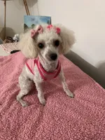 processed/c227fb94-1c98-4094-a13e-15953c46feee/facility/8f76aa45-3274-40ff-becc-1e6bda8f135f