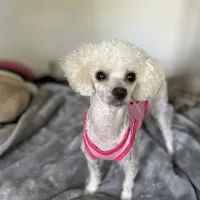 processed/c227fb94-1c98-4094-a13e-15953c46feee/facility/99126991-5809-4a4c-b735-71d0aae05d2c