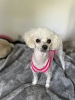 processed/c227fb94-1c98-4094-a13e-15953c46feee/facility/99126991-5809-4a4c-b735-71d0aae05d2c