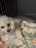 processed/c227fb94-1c98-4094-a13e-15953c46feee/facility/f4cd9b8a-934d-447f-91cd-bacfb87c17c3