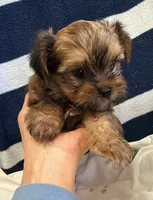 processed/c23798ce-94a2-4971-8848-edd8b96f0aba/listing/373483b7-ae3e-4337-9865-f90f9a028d75/190dc20a-9f66-411f-ae87-05a31772b204