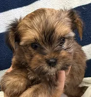 processed/c23798ce-94a2-4971-8848-edd8b96f0aba/listing/373483b7-ae3e-4337-9865-f90f9a028d75/7efb87fe-3e2d-40e9-857c-52e783f745d8