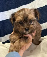 processed/c23798ce-94a2-4971-8848-edd8b96f0aba/listing/373483b7-ae3e-4337-9865-f90f9a028d75/9fe7083f-2c13-420e-a087-1d6904ad2922