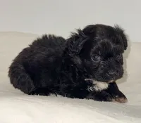 processed/c23798ce-94a2-4971-8848-edd8b96f0aba/listing/4e9a5e81-4435-402f-bec6-6cddab1ebb0d/3d8161a3-44b4-4ade-8ed1-5dd3345d3325