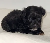 processed/c23798ce-94a2-4971-8848-edd8b96f0aba/listing/4e9a5e81-4435-402f-bec6-6cddab1ebb0d/5ce3561a-384a-4915-86a4-c23ebff27ba5