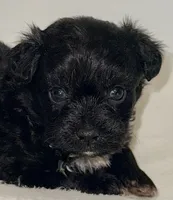 processed/c23798ce-94a2-4971-8848-edd8b96f0aba/listing/4e9a5e81-4435-402f-bec6-6cddab1ebb0d/af5e61a2-edd5-4059-97d3-a5e95e622f46