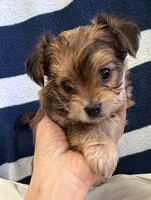 processed/c23798ce-94a2-4971-8848-edd8b96f0aba/listing/543ff09e-7deb-4c4f-821c-30ac991f27f9/5e504a0d-3b7d-4fb5-a534-718601120635