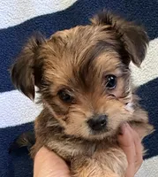 processed/c23798ce-94a2-4971-8848-edd8b96f0aba/listing/543ff09e-7deb-4c4f-821c-30ac991f27f9/c5d5adce-89fd-441c-aa81-a2e4c0a92a0d