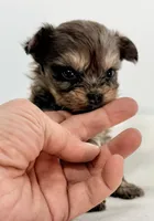 processed/c23798ce-94a2-4971-8848-edd8b96f0aba/listing/779220f9-e43d-4026-bef7-3831c5d71145/13a12960-8c51-4d40-b2f2-69afb02c3202