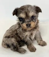 processed/c23798ce-94a2-4971-8848-edd8b96f0aba/listing/779220f9-e43d-4026-bef7-3831c5d71145/33c161aa-0ebf-41f5-917d-b0e3b9adba23