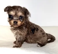 processed/c23798ce-94a2-4971-8848-edd8b96f0aba/listing/779220f9-e43d-4026-bef7-3831c5d71145/34e61433-f24a-4971-bc87-f2248fe30bf0