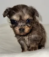 processed/c23798ce-94a2-4971-8848-edd8b96f0aba/listing/779220f9-e43d-4026-bef7-3831c5d71145/620dcb04-fba7-4970-a73e-b2e8c3b93ec4