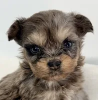 processed/c23798ce-94a2-4971-8848-edd8b96f0aba/listing/779220f9-e43d-4026-bef7-3831c5d71145/bdb7b724-8ce4-49ec-92db-84f8fd8a797c