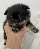 processed/c23798ce-94a2-4971-8848-edd8b96f0aba/listing/acf6da2c-4785-490d-917e-a61058da11f8/4edec947-0bb5-4392-ac32-ac6bc98aad7a