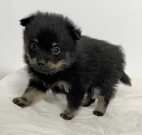 processed/c23798ce-94a2-4971-8848-edd8b96f0aba/listing/acf6da2c-4785-490d-917e-a61058da11f8/64f2274a-dfaa-432f-b4f0-8b3e8f6c4c9b