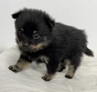 processed/c23798ce-94a2-4971-8848-edd8b96f0aba/listing/acf6da2c-4785-490d-917e-a61058da11f8/c3f06e67-2301-4edb-99d1-853d61a267e6