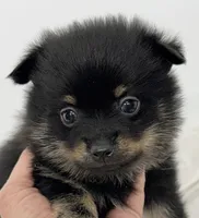 processed/c23798ce-94a2-4971-8848-edd8b96f0aba/listing/acf6da2c-4785-490d-917e-a61058da11f8/d12ea62f-8e9f-450e-884e-538cdd280460