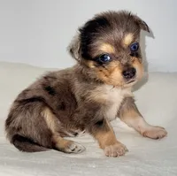 processed/c23798ce-94a2-4971-8848-edd8b96f0aba/listing/d3a04700-0858-4686-b62f-321703580171/7f11adf0-4b69-468e-801a-28d79fb3e4b3