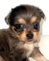 processed/c23798ce-94a2-4971-8848-edd8b96f0aba/listing/d3a04700-0858-4686-b62f-321703580171/e696b33e-be4e-4594-807c-49701904c965