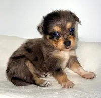 processed/c23798ce-94a2-4971-8848-edd8b96f0aba/listing/d3a04700-0858-4686-b62f-321703580171/faa9b66d-7c4e-49eb-92b0-3f8450d943f1