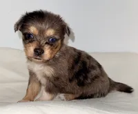 processed/c23798ce-94a2-4971-8848-edd8b96f0aba/listing/d3a04700-0858-4686-b62f-321703580171/fc959fdc-e2a2-4fe5-8820-c7bc5632f1e0