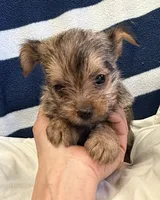 processed/c23798ce-94a2-4971-8848-edd8b96f0aba/listing/e18d984b-cf1e-4bfe-9256-ff92949f8a11/15907143-c05b-47de-970f-2a33714a3077