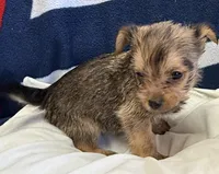 processed/c23798ce-94a2-4971-8848-edd8b96f0aba/listing/e18d984b-cf1e-4bfe-9256-ff92949f8a11/be1ac8c3-f2c4-4a9d-8546-548e8eb96560