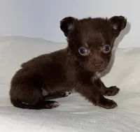 processed/c23798ce-94a2-4971-8848-edd8b96f0aba/listing/fc1941b8-9dc7-4f54-86e6-5e506a97349d/72c61378-eb97-4372-b5e1-b26f5d296971