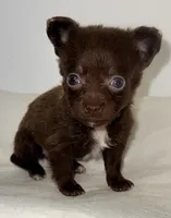 processed/c23798ce-94a2-4971-8848-edd8b96f0aba/listing/fc1941b8-9dc7-4f54-86e6-5e506a97349d/f28d726d-15aa-49f6-954c-428a24a2e12e