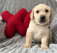 processed/c240d5a1-2902-4b17-a970-dcfa75fccc6d/listing/01e0a91a-e6b6-4e96-9e20-6a73fef6f60f/2a1fd4f3-9731-4667-8030-4f4081d0c0ed