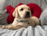 processed/c240d5a1-2902-4b17-a970-dcfa75fccc6d/listing/01e0a91a-e6b6-4e96-9e20-6a73fef6f60f/47a566da-4452-4231-a332-6fd10f95ab63