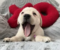 processed/c240d5a1-2902-4b17-a970-dcfa75fccc6d/listing/1ff011f2-7a79-455c-a1fb-7a5a5af8b599/6b939064-98c3-44bc-b21f-cf7c55cf6f8a