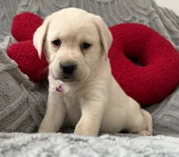 processed/c240d5a1-2902-4b17-a970-dcfa75fccc6d/listing/1ff011f2-7a79-455c-a1fb-7a5a5af8b599/afe0cbaa-533a-4089-baed-634edbd35f99