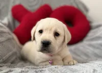 processed/c240d5a1-2902-4b17-a970-dcfa75fccc6d/listing/1ff011f2-7a79-455c-a1fb-7a5a5af8b599/f0e7e9c2-abec-4063-8c54-400da00b0094