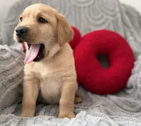 processed/c240d5a1-2902-4b17-a970-dcfa75fccc6d/listing/66a28322-5a6e-4d1c-a4d7-78317d9aae13/2df9b990-2595-427f-aa43-739c478b27f1