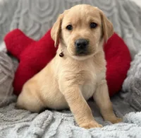 processed/c240d5a1-2902-4b17-a970-dcfa75fccc6d/listing/66a28322-5a6e-4d1c-a4d7-78317d9aae13/3e9a2d6d-4b58-4d63-aadc-10fa7e563063