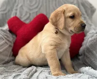 processed/c240d5a1-2902-4b17-a970-dcfa75fccc6d/listing/66a28322-5a6e-4d1c-a4d7-78317d9aae13/543780d7-19e6-4f8a-9074-28a6369d0112