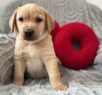 processed/c240d5a1-2902-4b17-a970-dcfa75fccc6d/listing/66a28322-5a6e-4d1c-a4d7-78317d9aae13/e7916a6a-6dc9-44ba-8fa4-745b86d310b8