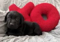 processed/c240d5a1-2902-4b17-a970-dcfa75fccc6d/listing/93a03c61-e70f-4d57-80d5-1cc9052041a4/b1fd7ced-e484-4a38-870a-1ca378eaa3cc