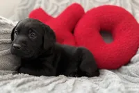 processed/c240d5a1-2902-4b17-a970-dcfa75fccc6d/listing/93a03c61-e70f-4d57-80d5-1cc9052041a4/ea52ca2b-a329-4149-b0c7-f361b08f9ea1