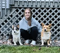 Breeding Pair, a female Pembroke Welsh Corgi for sale in Luana, IA – Photo 1 of 6