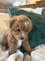 processed/c2537cc0-19ea-4076-b3ec-f1bcbda459ad/listing/10789c09-ae9b-46d0-b856-1fdc43d3d246/8b3c8e4c-b9e3-47f3-aa51-43029af8d557