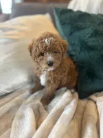 processed/c2537cc0-19ea-4076-b3ec-f1bcbda459ad/listing/10789c09-ae9b-46d0-b856-1fdc43d3d246/b17661c4-80cd-4f4d-9370-5b7125ce40d5