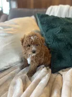 processed/c2537cc0-19ea-4076-b3ec-f1bcbda459ad/listing/10789c09-ae9b-46d0-b856-1fdc43d3d246/ca18842e-4cda-4af4-a56c-3f77f099fcbc