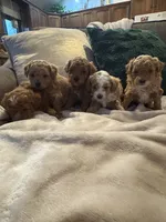 processed/c2537cc0-19ea-4076-b3ec-f1bcbda459ad/listing/227ce85e-a337-4a74-95a7-a69e7dfb5a70/23986013-5695-4255-87e0-5cc4d1068936