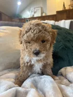 processed/c2537cc0-19ea-4076-b3ec-f1bcbda459ad/listing/227ce85e-a337-4a74-95a7-a69e7dfb5a70/6cdc90b2-3bcb-4d40-9f29-c7b727ddd9a0