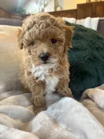 processed/c2537cc0-19ea-4076-b3ec-f1bcbda459ad/listing/227ce85e-a337-4a74-95a7-a69e7dfb5a70/7edf2ca6-0463-4932-a42e-cfaa8c11cc11