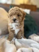 processed/c2537cc0-19ea-4076-b3ec-f1bcbda459ad/listing/227ce85e-a337-4a74-95a7-a69e7dfb5a70/8c31c5c5-d26f-4f29-ab4a-fdd76d60b581